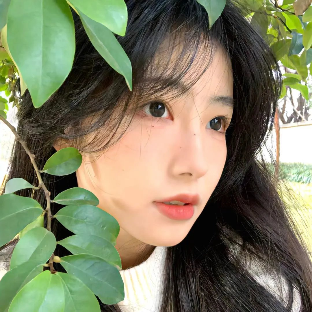 孤岛少年